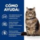 Hills  HILL'S PD FELINE GI BIOME 3 KG