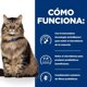 Hills  HILL'S PD FELINE GI BIOME 3 KG