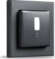 HomeMatic IP Homematic IP motion detector for 55 frames inside (HmIP-SMI55-A) (anthracite)