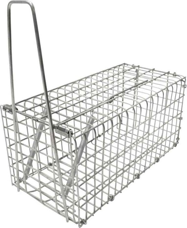 Παγίδα για αρουραίους Home It Green>it® 22 × 10 × 10 cm γαλβανισμένη