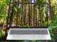 HP OmniBook 5 NGAI OmniBook 5 Laptop Next Gen AI 16-ag1222nw Copilot+ PC AMD Ryzen AI 5 340 40,6 cm (16") Ekran dotykowy 2K 16 GB LPDDR5x-SDRAM Wi-Fi 6E (802.11ax) Windows 11 Home