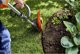 Husqvarna Lawnmower HUSQVARNA 110iL with accessories