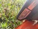 Husqvarna Leaf blower HUSQVARNA 525BX