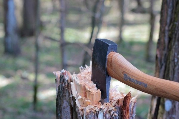 Husqvarna Ax for gardening HUSQVARNA 600g