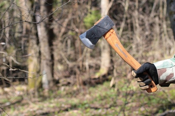 Husqvarna Ax for gardening HUSQVARNA 600g
