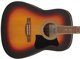Ibanez V50NJP-OVS acoustic guitar package