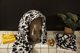 Iittala OTC towel 50x70cm Cheetah brown #