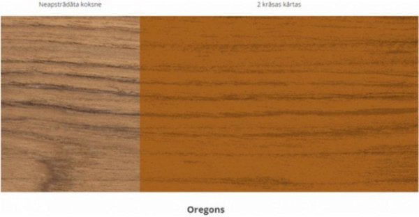 ΕΜΠΟΤΙΣΤΙΚΟ EXTREME LASUR OREGON 1L