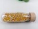 Jellystone Designs Petit Boum, Σετ 3 Αισθητηριακών Μπουκαλιών - ΖΩΗ