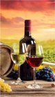 Πετσέτα βαμβακερή 70x140 Wino Jerry Fabrics