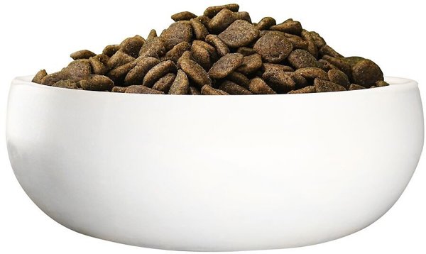 Josera Green Petfood  Hypoallergenic with Insects 3 kg