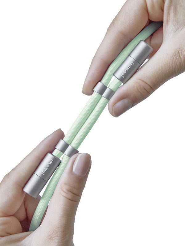 Καλώδιο Intenso USB-C σε USB-C για Γρήγορη Φόρτιση, 1.65m, Πράσινο