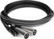 Καλώδιο Hosa CYX-402M Jack 3.5mm σε 2x XLR Male, 2m, Ασημί