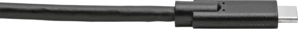 Καλώδιο USB Eaton USB-C - USB-C 3.05 m Μαύρο (U420-010)