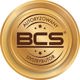 Κάμερα Θόλου IP 2Mpx BCS-P-DMIP22FSR3-Ai1 BCS Point