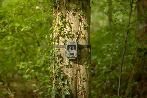 Κάμερα παραλλαγής Samsung Camouflage trail camera SM4 Pro