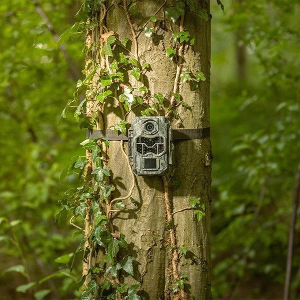 Ψηφιακή κάμερα Arlo Camouflage trail camera EZ2 Ultra