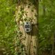 Ψηφιακή κάμερα Arlo Camouflage trail camera EZ2 Ultra