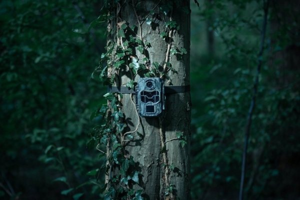 Ψηφιακή κάμερα Arlo Camouflage trail camera EZ2 Ultra