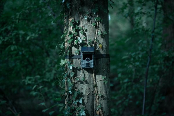Ψηφιακή κάμερα Genway Camouflage trail camera EZ-Solar