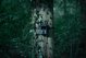 Ψηφιακή κάμερα Genway Camouflage trail camera EZ-Solar