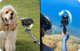 Φωτογραφική μηχανή Insta360 Insta360 Ace Pro Gen2 φωτογραφική μηχανή για αθλητική φωτογραφία 48 MP 8K Ultra HD 25,4 / 1,3 mm (1 / 1.3") Wi-Fi 179,8 g