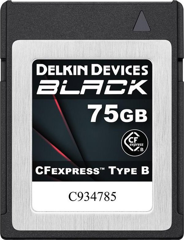 Κάρτα Delkin Delkin CFexpress BLACK R1725/W1240 75GB