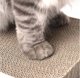 Χάρτινος ξύστης για γάτες με catnip 45x21cm