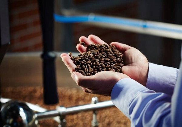 Kawa ziarnista MK Cafe Fresh India Plantation 1kg