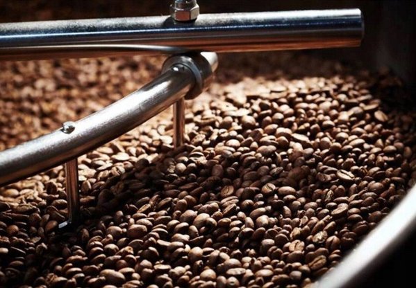Kawa ziarnista MK Cafe Fresh India Plantation 1kg