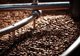 Kawa ziarnista MK Cafe Fresh India Plantation 1kg