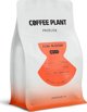 Coffee Plant FLOW Blossom Καφές σε Κόκκους 250g