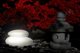 Απλίκα 8 seasons 8 seasons Shining Stone Solar