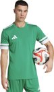 Ανδρική μπλούζα Adidas Squadra 25 πράσινο-λευκό JN7485 XL
