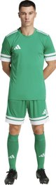 Ανδρική μπλούζα Adidas Squadra 25 πράσινο-λευκό JN7485 XL