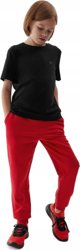 ΜΠΛΟΥΖΑ 4F T-SHIRT ΠΑΙΔΙΚΗ ΛΕΙΑ ΒΑΜΒΑΚΕΡΗ ΣΧΟΛΙΚΗ ΜΑΥΡΗ μ. 146