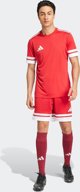 Ανδρική μπλούζα Adidas Squadra 25 κόκκινη JE2601 XL