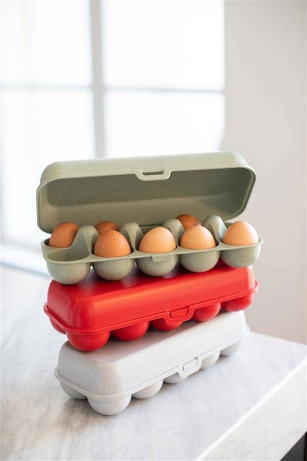 Koziol Δοχείο για αυγά Eggs To Go org. Green 3179668