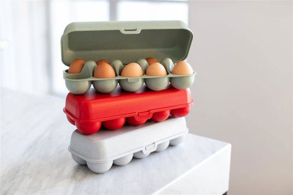 Koziol Δοχείο για αυγά Eggs To Go org. Green 3179668
