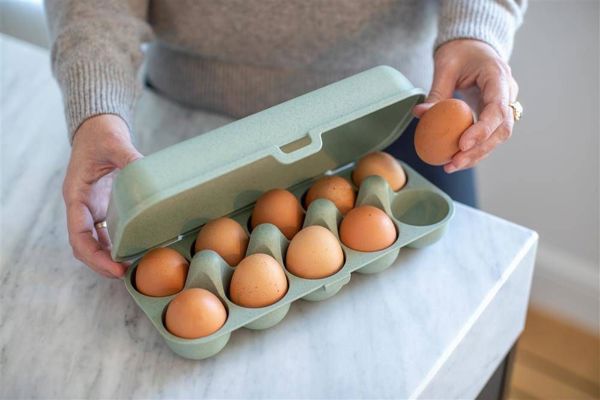 Koziol Δοχείο για αυγά Eggs To Go org.Grey 3179670