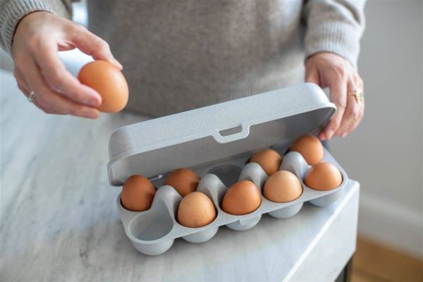 Koziol Δοχείο για αυγά Eggs To Go org.Grey 3179670