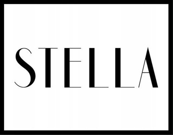 Εστία Stella ΚΟΥΖΙΝΑ ΑΕΡΙΟΥ STELLA INOX ΕΣΩΤΕΡΙΚΟΥ ΧΩΡΟΥ STKGIX-04IN