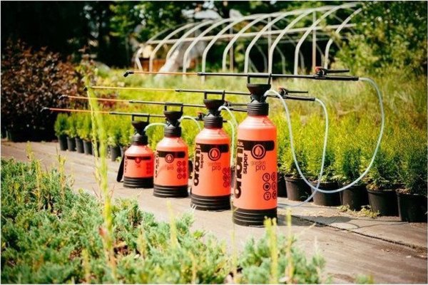 Ψεκαστήρας Kwazar με μανόμετρο 3 L Orion