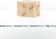 Φωτιστικό κρεμαστό TK Lighting LAMP PENDANT MODESTO 16 CM GU10 10W