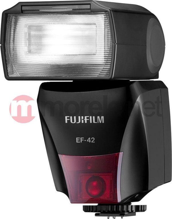 Φλας Fujifilm EF-42 (16144614)