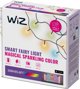 Λαμπάκια χριστουγεννιάτικου δέντρου Signify WiZ Fairy Light Color 20m Outdoor