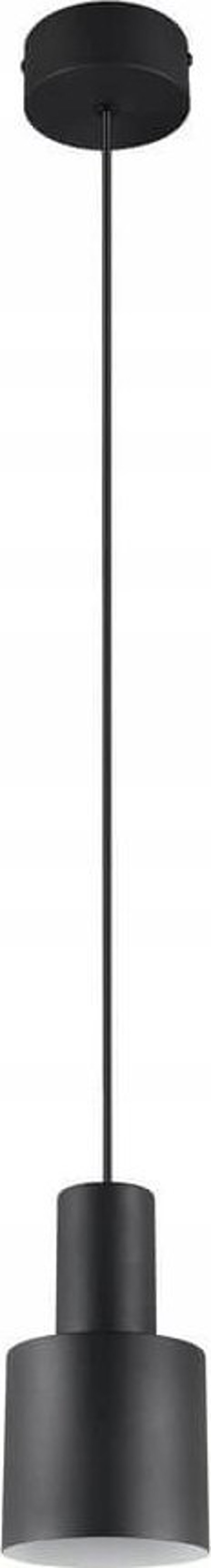 Κρεμαστό φωτιστικό Trio LAMP PENDANT TRIO AGURO E27B