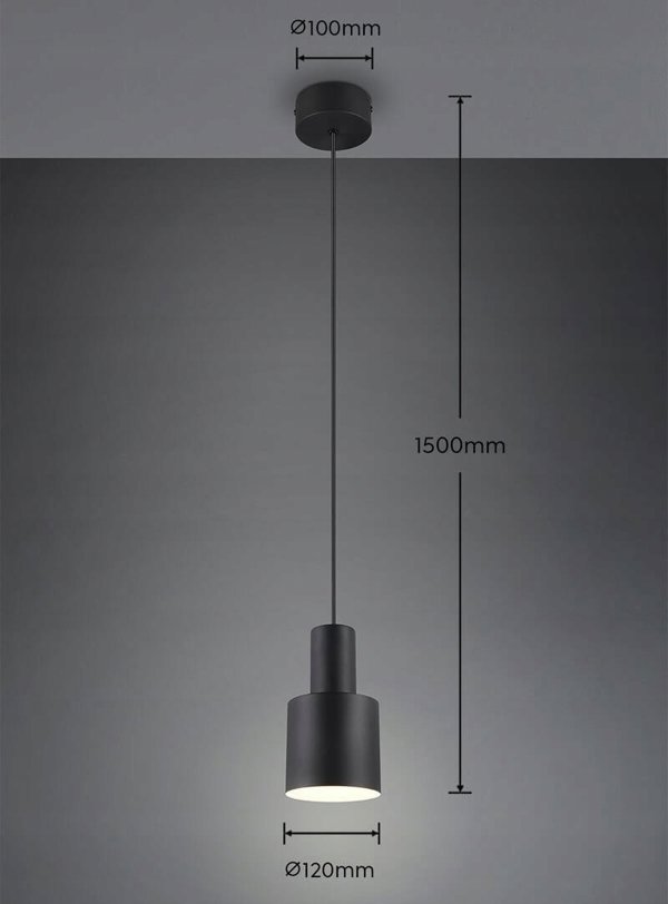 Κρεμαστό φωτιστικό Trio LAMP PENDANT TRIO AGURO E27B