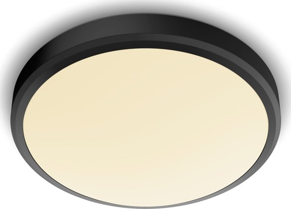 Φωτιστικό οροφής Philips DORIS CL257 EC RD 17W 27K B HV IP44 06