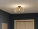 Φωτιστικό οροφής EGLO CEILING LIGHT VENEZUELA E27 900165 BL/GL